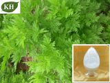 100% High Quality 99% Artemisinin