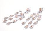 Hot Sale Fashion 925 Silver Earring with Dangling
