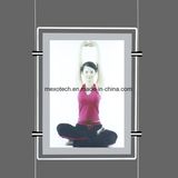 Window Display  LED Light Box with Magnetic Face 