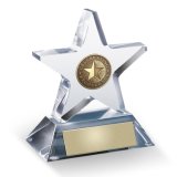 Top Sale Acrylic Star Awards Made in China