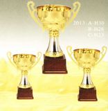 Sports Trophy