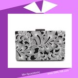 Lady Embroidery Evening Party Bag for Gift (CZF2-1004)