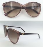 New Crystal Brown Acetate Color with New Shape Sunglasses for Lady