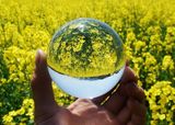 Clear Crystal Ball Glass Ball Decorative for Crystal Gifts (KS12008)