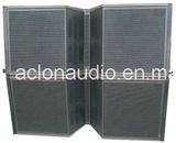 Vt4889 Outdoor Large Line Array Speaker (VT225)