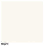 Foshan Ceramic Tile 600*600 Soluble Salt Bone White Tile