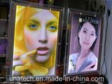New Wall-Mounted Acrylic Crystal LED Light Box
