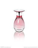 2017 Perfumes with Light Smell
