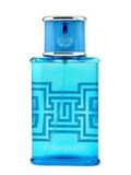 100ml Popular Glass Perfume Bottle