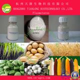 Highly Effective Herbicide Fluometuron (97%TC, 80%WDG, 90%WDG, 50%SC, etc.)