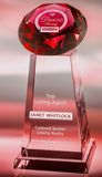 Red Diamond Tower Award Crystal Trophy