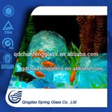 Aquarium Rocks for Sale