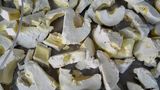 Durian Lyophilization Machine/Durian Lyophilizer/Fruit Vacuum Freeze Dryer