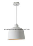 Metal Pendant Lamp (WHP-705)