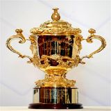 High Quality ODM Promotional Sport Trophy