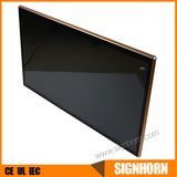 Indoor Adevertising Transparent LCD Display