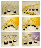 Sports Trophy