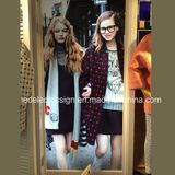Advertising Light Box with Advertising Backlit Sign Box