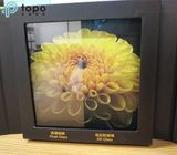2mm-12mm Anti-Reflective Coating Low Iron Solar Glass (AR-TP)