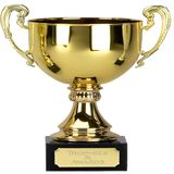 High Quality China Custom Brass Trophy