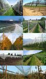 Raschel Knitted Anti Hail Nets for Vegetable Plants