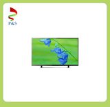 69.5 Inch IPS TFT LCD Multi-Media Display with Resolution 3840 (RGB) X2160 TV Monitor