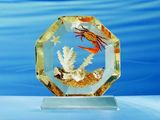 Custom High Transparent Round Acrylic Award with 3D Printing