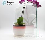 High-Tech Permanent Non-Stripping Magic Makeup Mirror Glass (S-F7)
