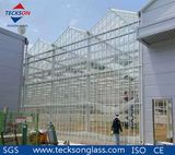 Low-Iron Clear Float Glass for Building Glass