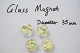Souvenir Birds Glass Bead Magnet Decor