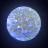 Cdg-HS 100/120 Industrial Synthetic Single Crystal Diamond for Abrasive