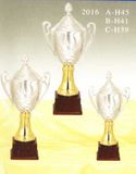 Sports Trophy