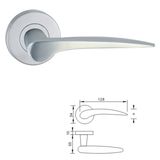 Stainless Steel Hollow Tube Lever Door Handle (S59)