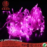 220V Steady on LED Multi-Color Light String for Indoor and Outdoor Use