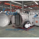 Bird Nest Vacuum Freeze Dryer/Bird Nest Lyophilization Lyophilizer
