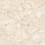 3D Hot Sales Inkjet Marble Floor Tile (FQA1022P)